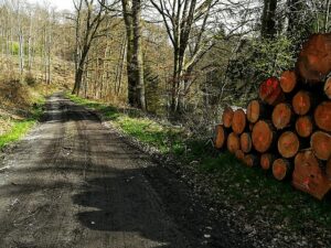 Forest Roads Scheme