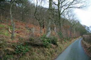 Native Woodland Conservation Scheme