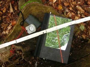 Forest Valuation